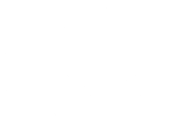 Reemake